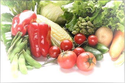 「割烹 登坂勇」は無農薬野菜のみを使用しております。
